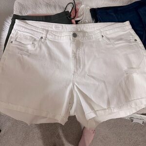 Kit from the Kloth Katy Shorts size 20